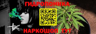 ECSTASY Комсомольск-на-Амуре